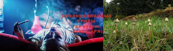 амф Алексеевка