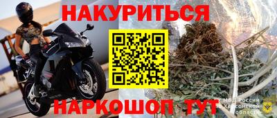 прущие грибы Пугачёв