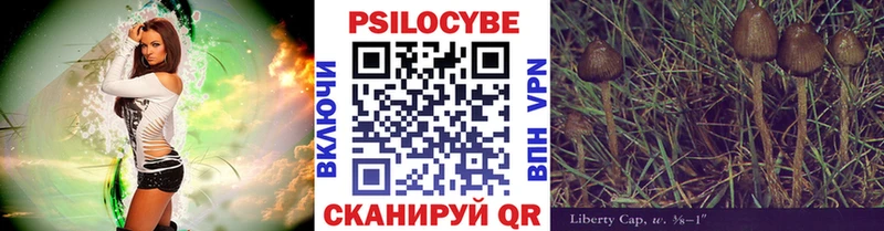 Псилоцибиновые грибы Psilocybe  Челябинск 