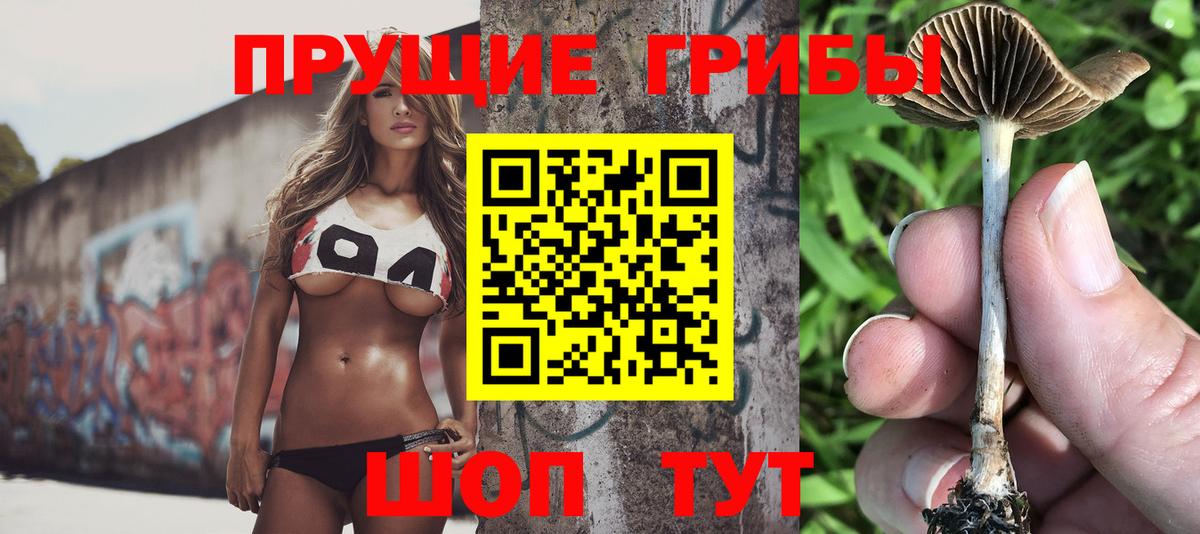 Псилоцибиновые грибы мицелий Челябинск