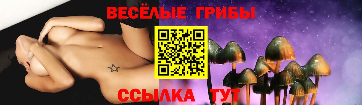 Челябинск  Галлюциногенные грибы Psilocybine cubensis  Вход с VPN 